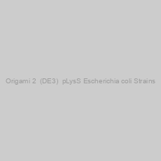 Image of Origami 2  (DE3)  pLysS Escherichia coli Strains